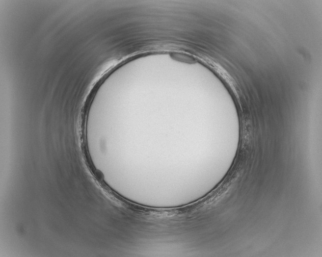 X0000115700997200912101211