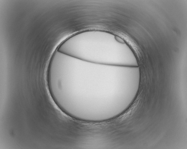 X0000115700999200912101211