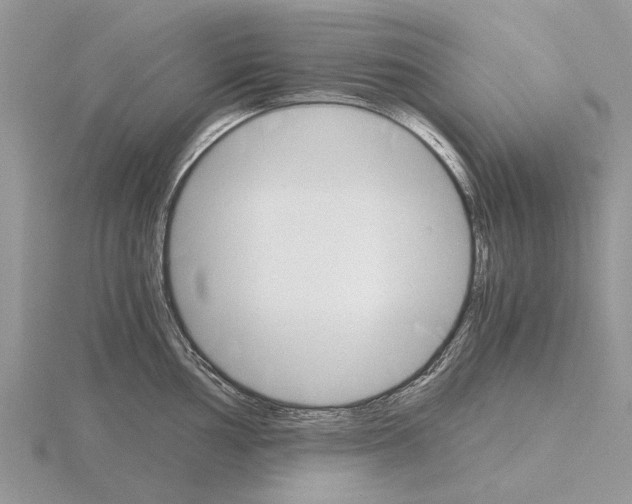 X0000115701002200912101211