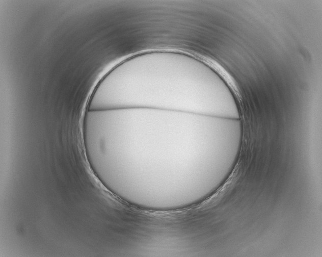 X0000115701004200912101211