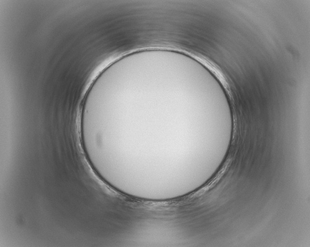 X0000115701006200912101211