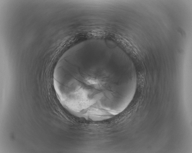 X0000115701009200912101210