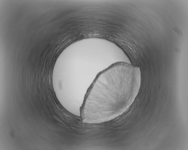 X0000115701011200912101210