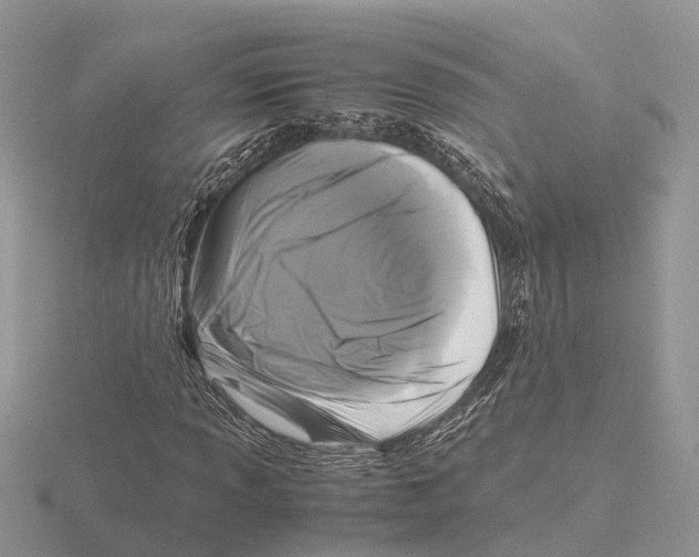 X0000115701013200912101210