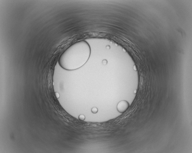 X0000115701014200912101210