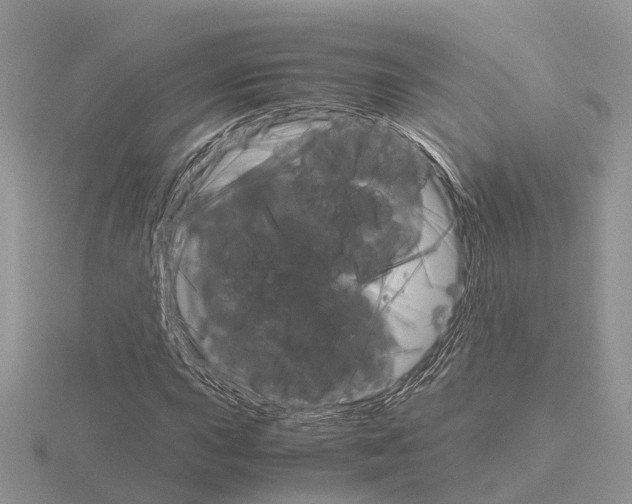 X0000115701015200912101210