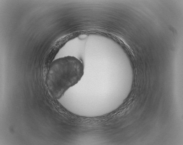 X0000115701016200912101210