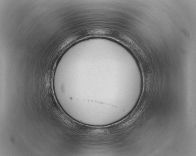 X0000115701017200912101210