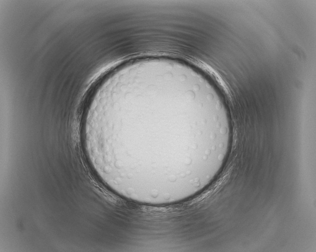 X0000115701019200912101210