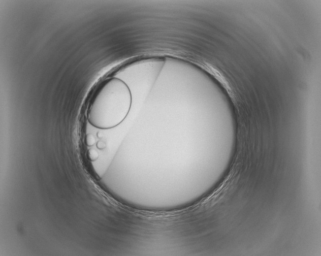 X0000115701020200912101210