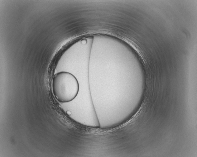 X0000115701022200912101210