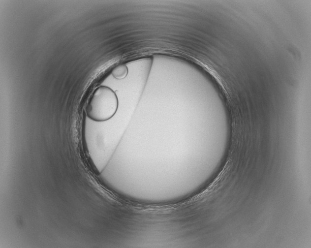 X0000115701026200912101210