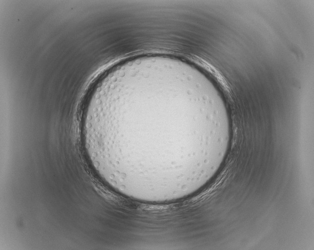 X0000115701027200912101210