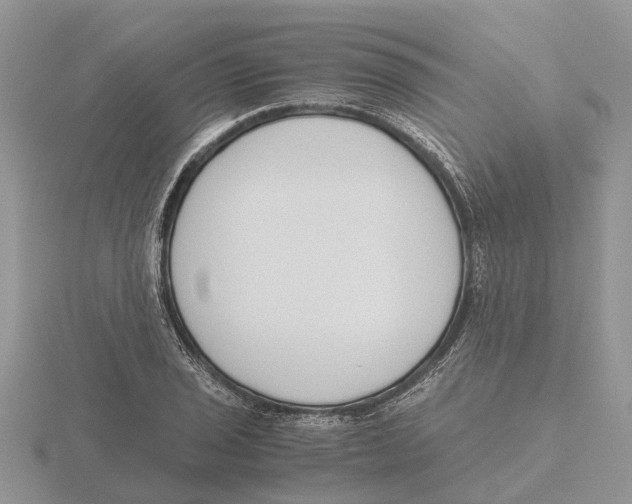 X0000115701029200912101210