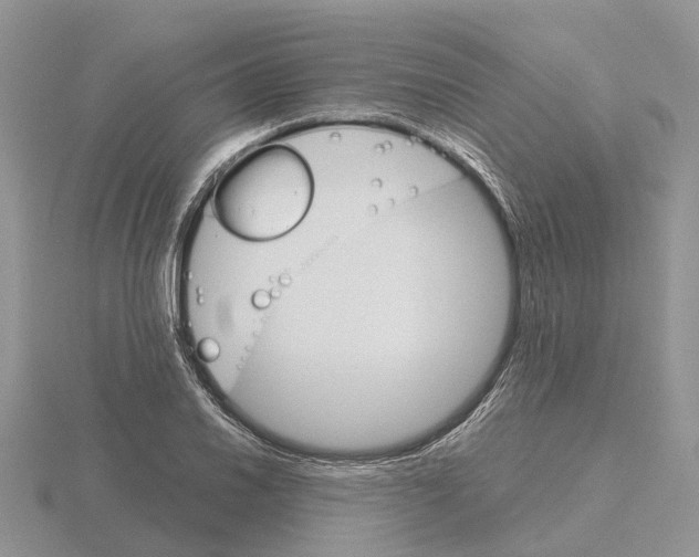 X0000115701030200912101210