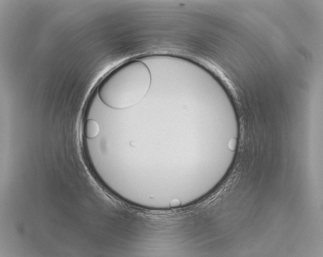 X0000115701032200912101210