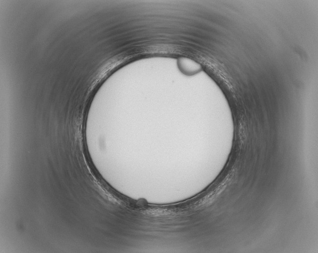 X0000115701033200912101210