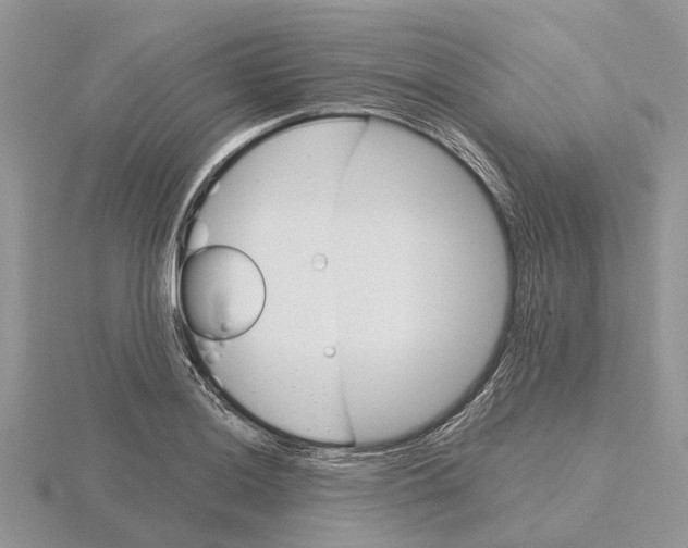 X0000115701036200912101210