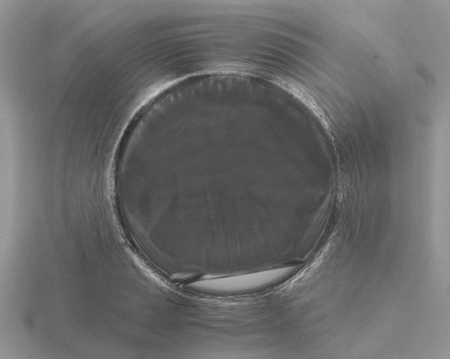 X0000115701037200912101210