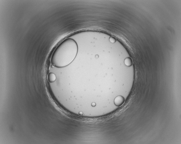 X0000115701038200912101210