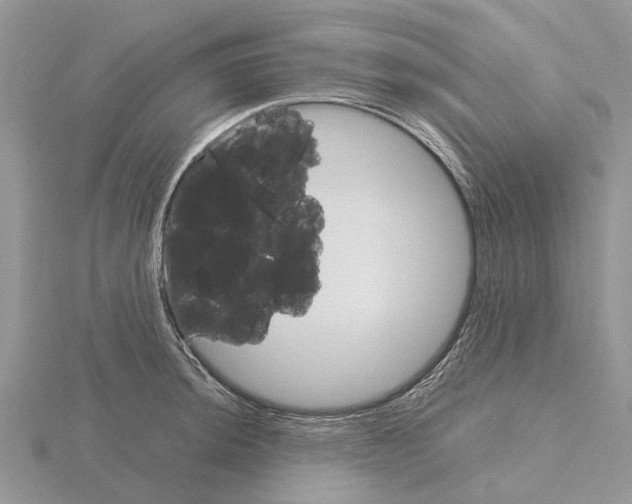 X0000115701044200912101211