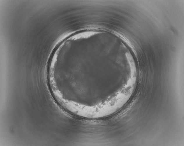 X0000115701045200912101211