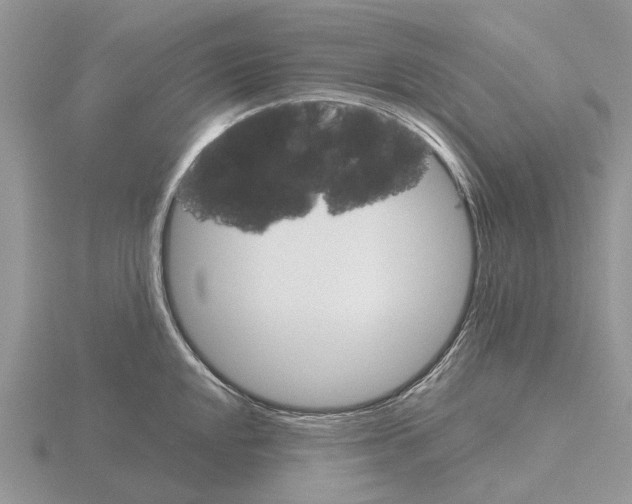 X0000115701048200912101211