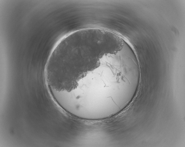 X0000115701056200912101211