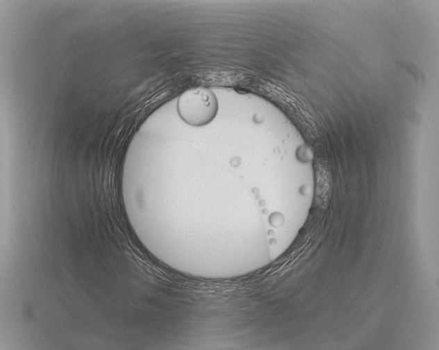 X0000115701058200912101210