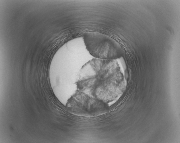 X0000115701059200912101210