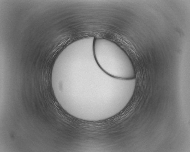 X0000115701060200912101210