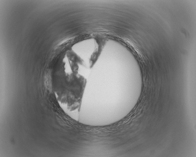 X0000115701063200912101210