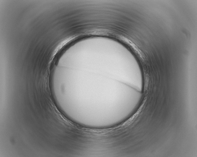 X0000115701066200912101210