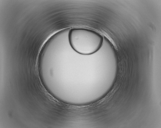 X0000115701068200912101210