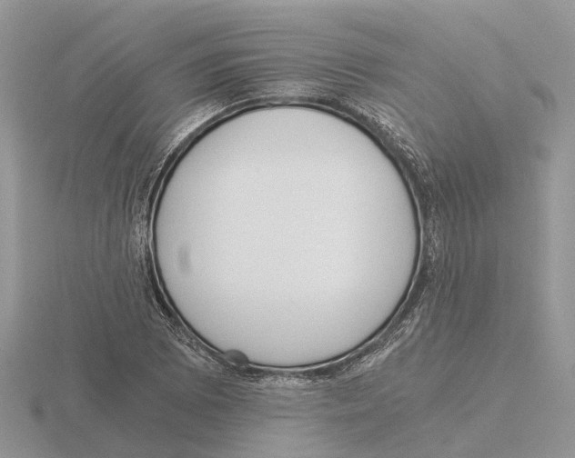 X0000115701073200912101210