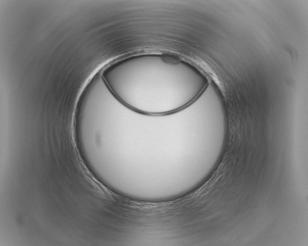 X0000115701076200912101210