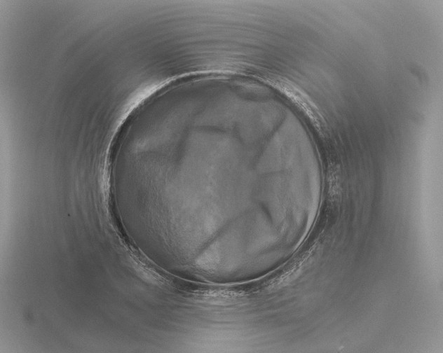 X0000115701077200912101210