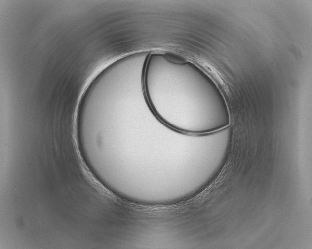 X0000115701080200912101210