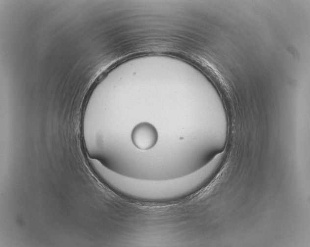 X0000115701081200912101210