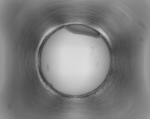 X0000115701088200912101210