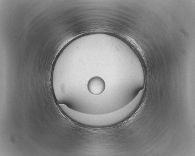 X0000115701089200912101210