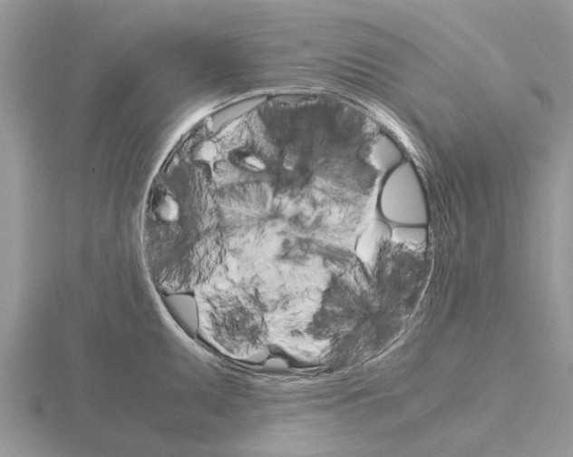 X0000115701095200912101210