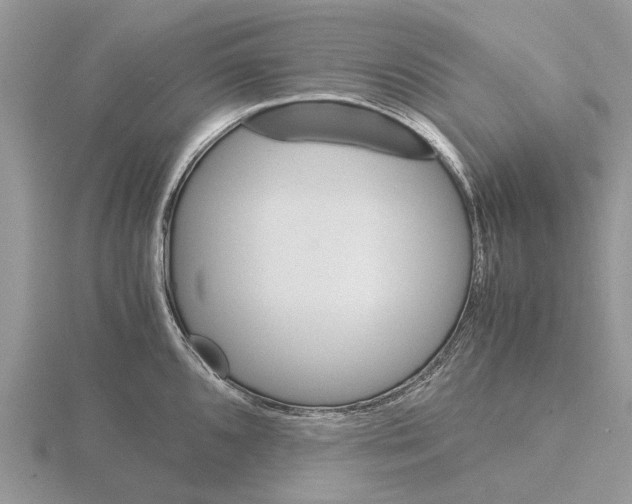 X0000115701096200912101210