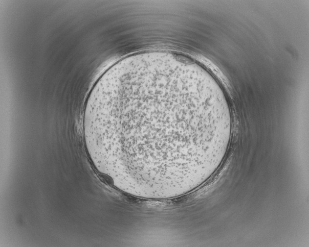 X0000115701097200912101209