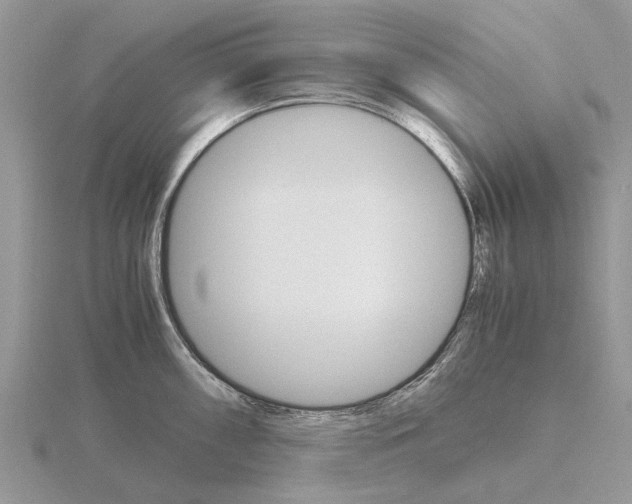 X0000115701098200912101209