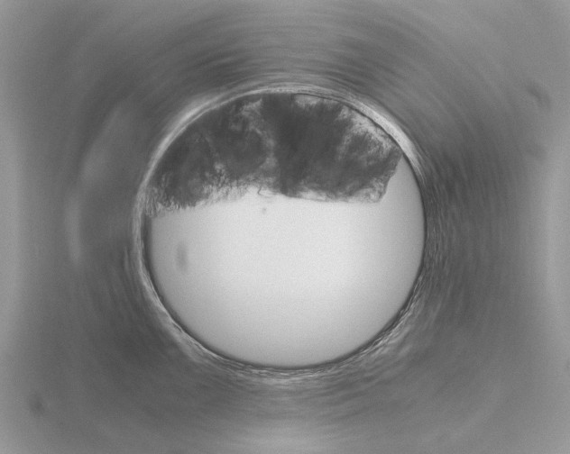 X0000115701099200912101209