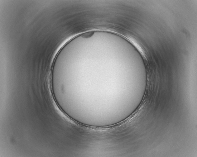 X0000115701100200912101209