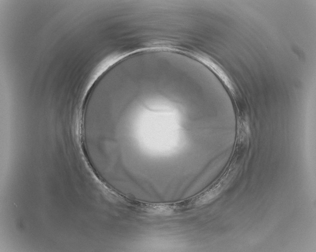 X0000115701101200912101209