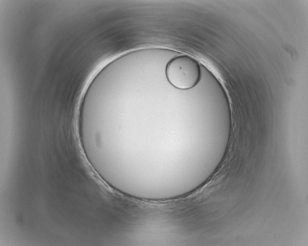 X0000115701104200912101209