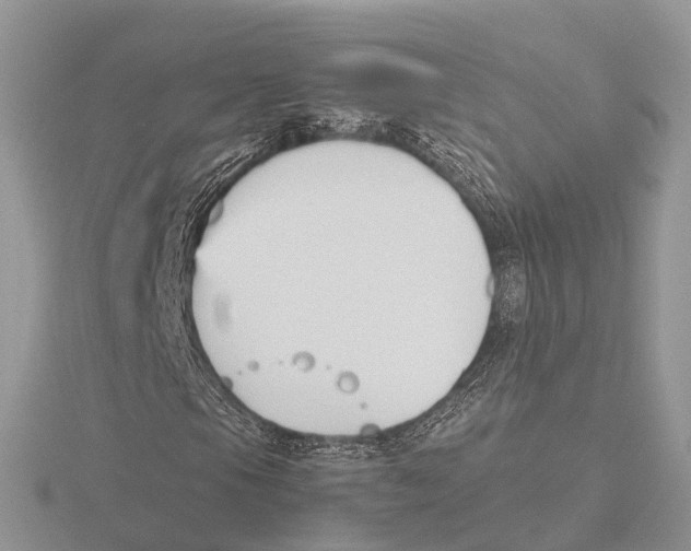 X0000115701105200912101209